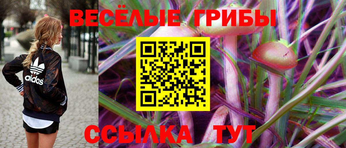 Тулун  Псилоцибиновые грибы мухоморы  Галлюциногенные грибы прущие грибы  купить наркотики цена  Вход с VPN 